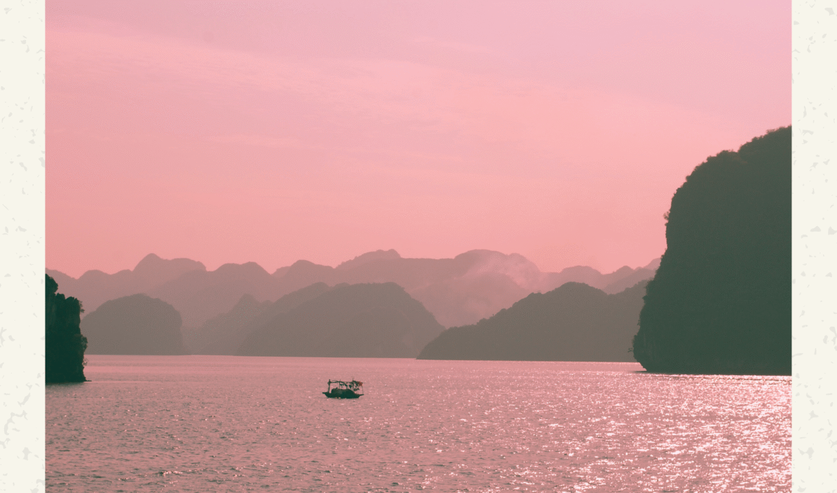 PPIA RECHARGE & RECONNECT #4 ✨Fun Walk: Long Bay Regional Park 🌿